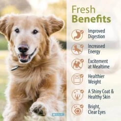 JustFoodForDogs Beef & Russet Potato Recipe Frozen Human-Grade Fresh Dog Food -Blue Buffalo || ROYAL CANIN || Wellness Sales 368089 PT3. AC SS1800 V1696967271