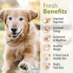 JustFoodForDogs Fish & Sweet Potato Recipe Frozen Human-Grade Fresh Dog Food -Blue Buffalo || ROYAL CANIN || Wellness Sales 368097 PT3. AC SS1800 V1696967269