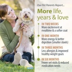 JustFoodForDogs Lamb & Brown Rice Recipe Frozen Human-Grade Fresh Dog Food -Blue Buffalo || ROYAL CANIN || Wellness Sales 368101 PT4. AC SS1800 V1696967329