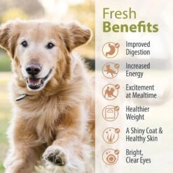 JustFoodForDogs PantryFresh Joint & Skin Support Recipe Fresh Dog Food, 12.5-oz Pouch, Case Of 12 16 JustFoodForDogs PantryFresh Joint & Skin Support Recipe Fresh Dog Food, 12.5-oz Pouch, Case Of 12 -Blue Buffalo || ROYAL CANIN || Wellness Sales 368143 PT5. AC SS1800 V1665174299