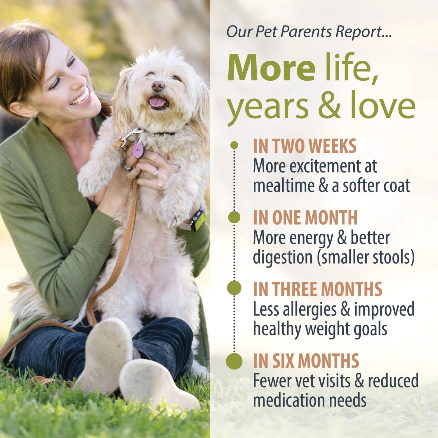 JustFoodForDogs DoItYourself Beef & Russet Potato Recipe Fresh Dog Food Recipe & Nutrient Blend 9 JustFoodForDogs DoItYourself Beef & Russet Potato Recipe Fresh Dog Food Recipe & Nutrient Blend - Image 7