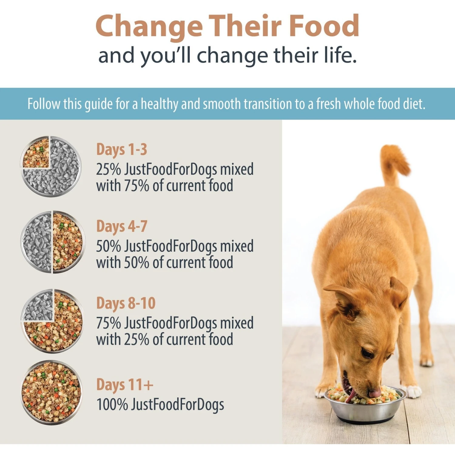JustFoodForDogs DoItYourself Venison & Squash Recipe Fresh Dog Food Recipe & Nutrient Blend 11 JustFoodForDogs DoItYourself Venison & Squash Recipe Fresh Dog Food Recipe & Nutrient Blend - Image 9