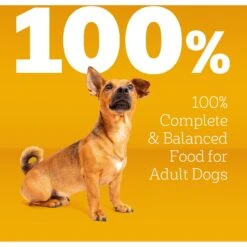 Pedigree Small Dog Complete Nutrition Grilled Steak & Vegetable Flavor Dog Kibble Small Breed Adult Dry Dog Food -Blue Buffalo || ROYAL CANIN || Wellness Sales 368362 PT8. AC SS1800 V1644528233