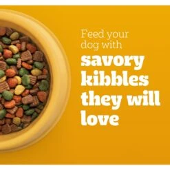 Pedigree High Protein Chicken & Turkey Flavor Adult Dry Dog Food -Blue Buffalo || ROYAL CANIN || Wellness Sales 368365 PT3. AC SS1800 V1668025396