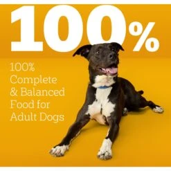 Pedigree High Protein Chicken & Turkey Flavor Adult Dry Dog Food -Blue Buffalo || ROYAL CANIN || Wellness Sales 368365 PT8. AC SS1800 V1668026299