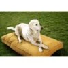 Sunbrella By Austin Horn Collection Indoor/Outdoor Double Sided Elevated Dog Bed -Blue Buffalo || ROYAL CANIN || Wellness Sales 368986 MAIN. AC SS1800 V1648074398