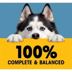 Pedigree High Protein Chicken & Turkey Cuts In Gravy Adult Dog Wet Food -Blue Buffalo || ROYAL CANIN || Wellness Sales 369026 PT2. AC SS1800 V1645123304