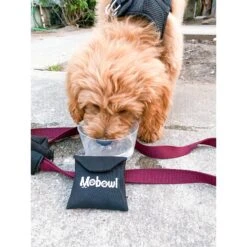 Mobowl Carrying Pouch Travel Dog & Cat Bowl, 2-cup -Blue Buffalo || ROYAL CANIN || Wellness Sales 369116 PT7. AC SS1800 V1646948191