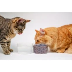 Mobowl Carrying Pouch Travel Dog & Cat Bowl, 2-cup -Blue Buffalo || ROYAL CANIN || Wellness Sales 369116 PT8. AC SS1800 V1646947333