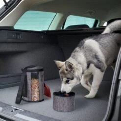 Pet Parade Pooch Pal Dog Feeder, Gray 15 Pet Parade Pooch Pal Dog Feeder, Gray -Blue Buffalo || ROYAL CANIN || Wellness Sales 369419 PT4. AC SS1800 V1648516311