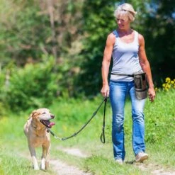 Pet Parade Pooch Pal Dog Feeder, Gray 17 Pet Parade Pooch Pal Dog Feeder, Gray -Blue Buffalo || ROYAL CANIN || Wellness Sales 369419 PT6. AC SS1800 V1648515121