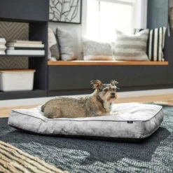 Disney Mickey Mouse Pillow Cat & Dog Bed & Disney Mickey Mouse Bolster Cat & Dog Bed -Blue Buffalo || ROYAL CANIN || Wellness Sales 370380 PT4. AC SS1800 V1645807915