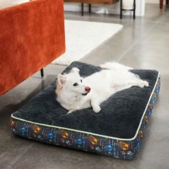 STAR WARS THE MANDALORIAN GROGU Pillow Cat & Dog Bed & STAR WARS THE MANDALORIAN GROGU Bolster Cat & Dog Bed 15 STAR WARS THE MANDALORIAN GROGU Pillow Cat & Dog Bed & STAR WARS THE MANDALORIAN GROGU Bolster Cat & Dog Bed -Blue Buffalo || ROYAL CANIN || Wellness Sales 370398 PT4. AC SS1800 V1645808808