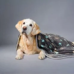 Allisandro Microplush Fleece Polyester Dog & Cat Blanket -Blue Buffalo || ROYAL CANIN || Wellness Sales 372085 PT2. AC SS1800 V1650014536