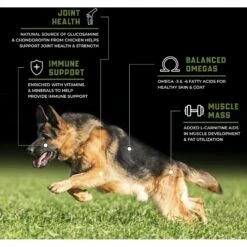 SPORTMiX CanineX Performance Chicken Formula Dry Dog Food -Blue Buffalo || ROYAL CANIN || Wellness Sales 373348 PT3. AC SS1800 V1647475599