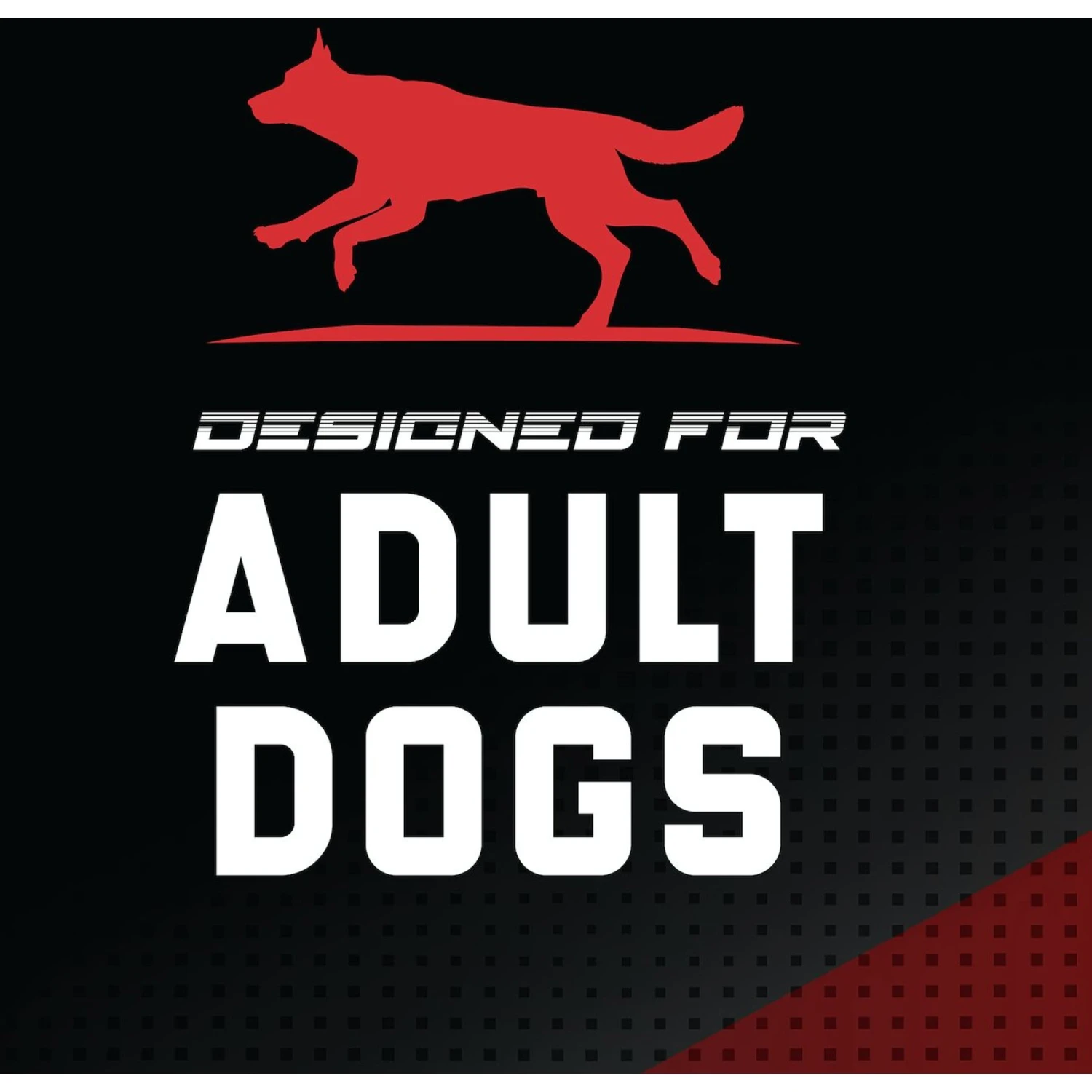 SPORTMiX CanineX Performance Beef Formula Dry Dog Food 7 SPORTMiX CanineX Performance Beef Formula Dry Dog Food - Image 5