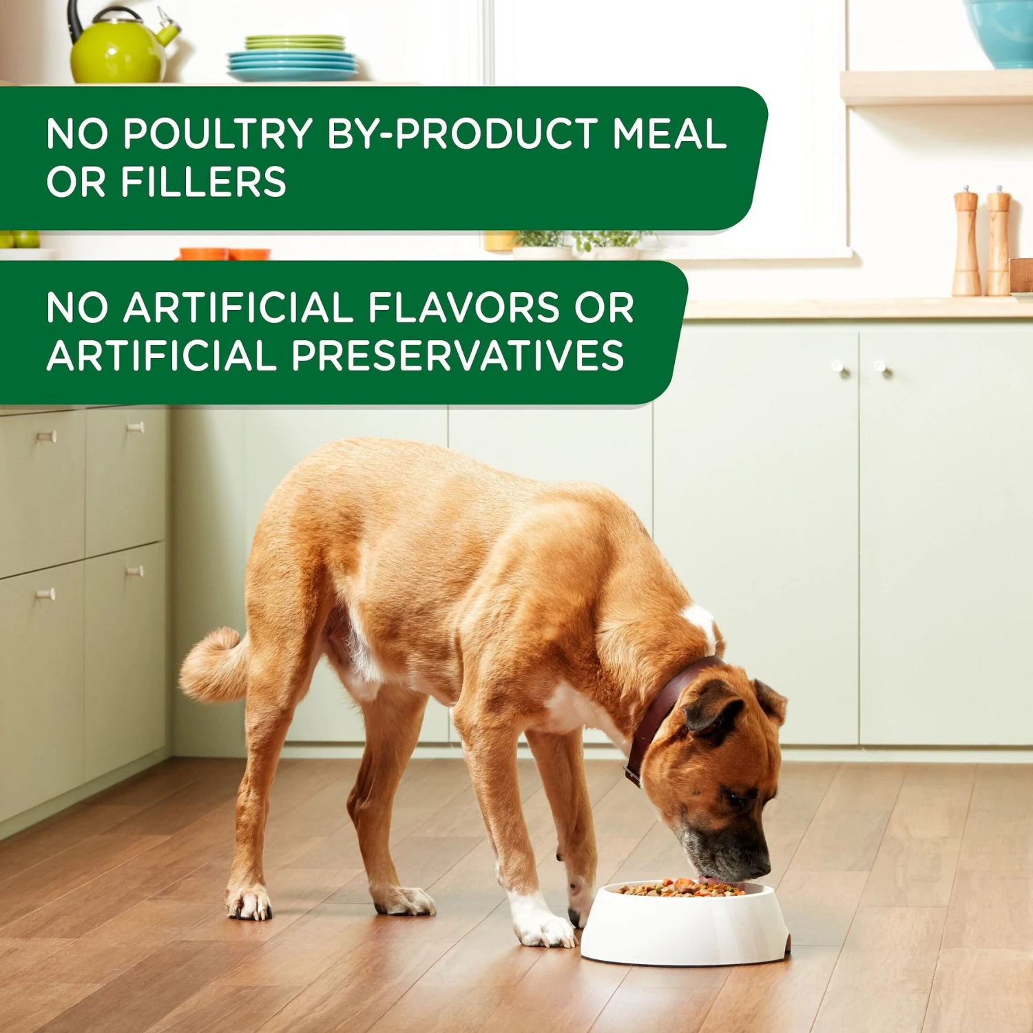 Rachael Ray Nutrish Real Chicken & Apple Canned Dog Food, 13-oz, Case Of 12 6 Rachael Ray Nutrish Real Chicken & Apple Canned Dog Food, 13-oz, Case Of 12 - Image 4