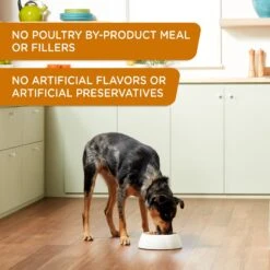 Rachael Ray Nutrish Weight Management Real Turkey & Pumpkin Wet Dog Food, 13-oz Can, Case Of 12 12 Rachael Ray Nutrish Weight Management Real Turkey & Pumpkin Wet Dog Food, 13-oz Can, Case Of 12 -Blue Buffalo || ROYAL CANIN || Wellness Sales 373435 PT3. AC SS1800 V1648296691