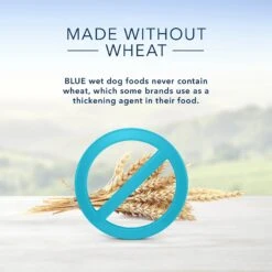 Blue Buffalo Homestyle Recipe Turkey Meatloaf Dinner With Garden Vegetables Canned Dog Food 14 Blue Buffalo Homestyle Recipe Turkey Meatloaf Dinner With Garden Vegetables Canned Dog Food -Blue Buffalo || ROYAL CANIN || Wellness Sales 46805 PT5. AC SS1800 V1572895132