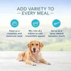Blue Buffalo Blue's Hearty Beef Stew Grain-Free Canned Dog Food 12 Blue Buffalo Blue's Hearty Beef Stew Grain-Free Canned Dog Food -Blue Buffalo || ROYAL CANIN || Wellness Sales 46820 PT3. AC SS1800 V1689357590