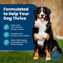 Blue Buffalo Life Protection Formula Adult Fish & Brown Rice Recipe Dry Dog Food -Blue Buffalo || ROYAL CANIN || Wellness Sales 46858 PT3. AC SS1800 V1704319588