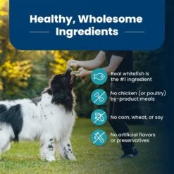 Blue Buffalo Life Protection Formula Adult Fish & Brown Rice Recipe Dry Dog Food -Blue Buffalo || ROYAL CANIN || Wellness Sales 46858 PT5. AC SS1800 V1704319591