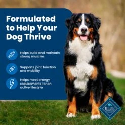 Blue Buffalo Life Protection Formula Adult Chicken & Brown Rice Recipe Dry Dog Food 14 Blue Buffalo Life Protection Formula Adult Chicken & Brown Rice Recipe Dry Dog Food -Blue Buffalo || ROYAL CANIN || Wellness Sales 46861 PT3. AC SS1800 V1689355691