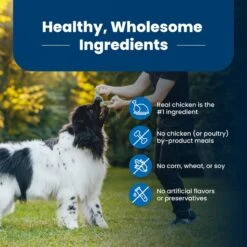 Blue Buffalo Life Protection Formula Adult Chicken & Brown Rice Recipe Dry Dog Food 16 Blue Buffalo Life Protection Formula Adult Chicken & Brown Rice Recipe Dry Dog Food -Blue Buffalo || ROYAL CANIN || Wellness Sales 46861 PT5. AC SS1800 V1689358020