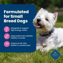 Blue Buffalo Life Protection Formula Small Breed Adult Chicken & Brown Rice Recipe Dry Dog Food 14 Blue Buffalo Life Protection Formula Small Breed Adult Chicken & Brown Rice Recipe Dry Dog Food -Blue Buffalo || ROYAL CANIN || Wellness Sales 46874 PT3. AC SS1800 V1704319711