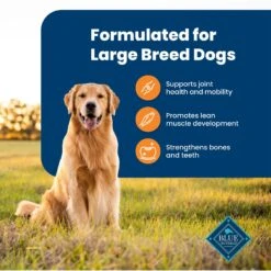 Blue Buffalo Life Protection Formula Large Breed Adult Chicken & Brown Rice Recipe Dry Dog Food -Blue Buffalo || ROYAL CANIN || Wellness Sales 46882 PT3. AC SS1800 V1701932657