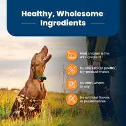 Blue Buffalo Life Protection Formula Large Breed Adult Chicken & Brown Rice Recipe Dry Dog Food -Blue Buffalo || ROYAL CANIN || Wellness Sales 46882 PT5. AC SS1800 V1701932656