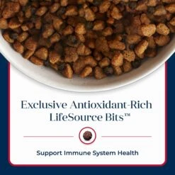 Blue Buffalo Basics Skin & Stomach Care Salmon & Potato Recipe Adult Dry Dog Food -Blue Buffalo || ROYAL CANIN || Wellness Sales 46888 PT7. AC SS1800 V1646257022