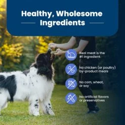 Blue Buffalo Life Protection Formula Large Breed Healthy Weight Adult Chicken & Brown Rice Recipe Dry Dog Food -Blue Buffalo || ROYAL CANIN || Wellness Sales 46892 PT5. AC SS1800 V1701982218