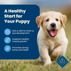 Blue Buffalo Life Protection Formula Puppy Chicken & Brown Rice Recipe Dry Dog Food 14 Blue Buffalo Life Protection Formula Puppy Chicken & Brown Rice Recipe Dry Dog Food -Blue Buffalo || ROYAL CANIN || Wellness Sales 46898 PT3. AC SS1800 V1704319591