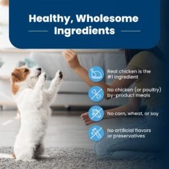 Blue Buffalo Life Protection Formula Puppy Chicken & Brown Rice Recipe Dry Dog Food 16 Blue Buffalo Life Protection Formula Puppy Chicken & Brown Rice Recipe Dry Dog Food -Blue Buffalo || ROYAL CANIN || Wellness Sales 46898 PT5. AC SS1800 V1704319771