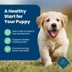 Blue Buffalo Life Protection Formula Puppy Lamb & Oatmeal Recipe Dry Dog Food -Blue Buffalo || ROYAL CANIN || Wellness Sales 46902 PT3. AC SS1800 V1702597352