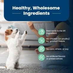 Blue Buffalo Life Protection Formula Puppy Lamb & Oatmeal Recipe Dry Dog Food -Blue Buffalo || ROYAL CANIN || Wellness Sales 46902 PT5. AC SS1800 V1702597353