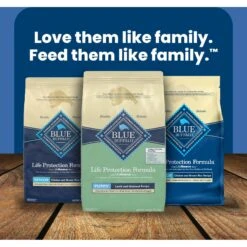 Blue Buffalo Life Protection Formula Puppy Lamb & Oatmeal Recipe Dry Dog Food -Blue Buffalo || ROYAL CANIN || Wellness Sales 46902 PT8. AC SS1800 V1702597354