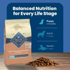 Blue Buffalo Life Protection Formula Large Breed Puppy Chicken & Brown Rice Recipe Dry Dog Food 17 Blue Buffalo Life Protection Formula Large Breed Puppy Chicken & Brown Rice Recipe Dry Dog Food -Blue Buffalo || ROYAL CANIN || Wellness Sales 46904 PT6. AC SS1800 V1689357643