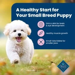 Blue Buffalo Life Protection Formula Small Breed Puppy Chicken & Oatmeal Recipe Dry Dog Food -Blue Buffalo || ROYAL CANIN || Wellness Sales 46906 PT3. AC SS1800 V1636149453