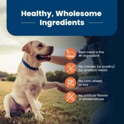 Blue Buffalo Life Protection Formula Large Breed Senior Chicken & Brown Rice Recipe Dry Dog Food -Blue Buffalo || ROYAL CANIN || Wellness Sales 46914 PT5. AC SS1800 V1701982214