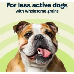 CANIDAE All Life Stages Less Active Chicken, Turkey, & Lamb Meal Formula Dry Dog Food -Blue Buffalo || ROYAL CANIN || Wellness Sales 47047 PT4. AC SS1800 V1684793494