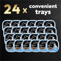Cesar Puppy Classic Loaf In Sauce Chicken & Beef Recipe Grain-Free Small Breed Wet Dog Food Trays -Blue Buffalo || ROYAL CANIN || Wellness Sales 47090 PT8. AC SS1800 V1695674516