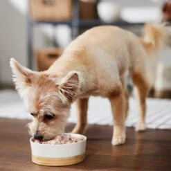 Evanger's Grain-Free Hand Packed Whole Chicken Thighs Canned Dog Food -Blue Buffalo || ROYAL CANIN || Wellness Sales 47333 PT7. AC SS1800 V1669928853