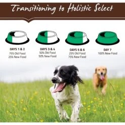 Holistic Select Large & Giant Breed Puppy Health Lamb Meal & Oatmeal Recipe Dry Dog Food -Blue Buffalo || ROYAL CANIN || Wellness Sales 47634 PT8. AC SS1800 V1510678994