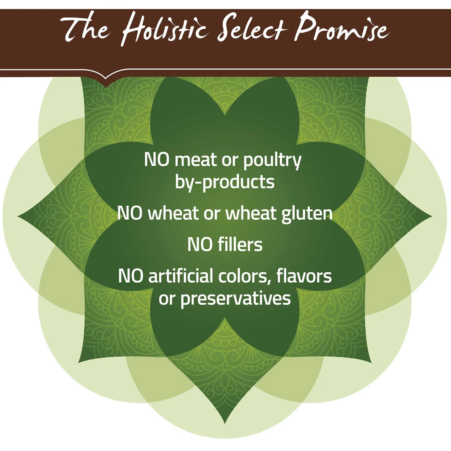 Holistic Select Adult Health Lamb Meal Recipe Dry Dog Food 8 Holistic Select Adult Health Lamb Meal Recipe Dry Dog Food - Image 6