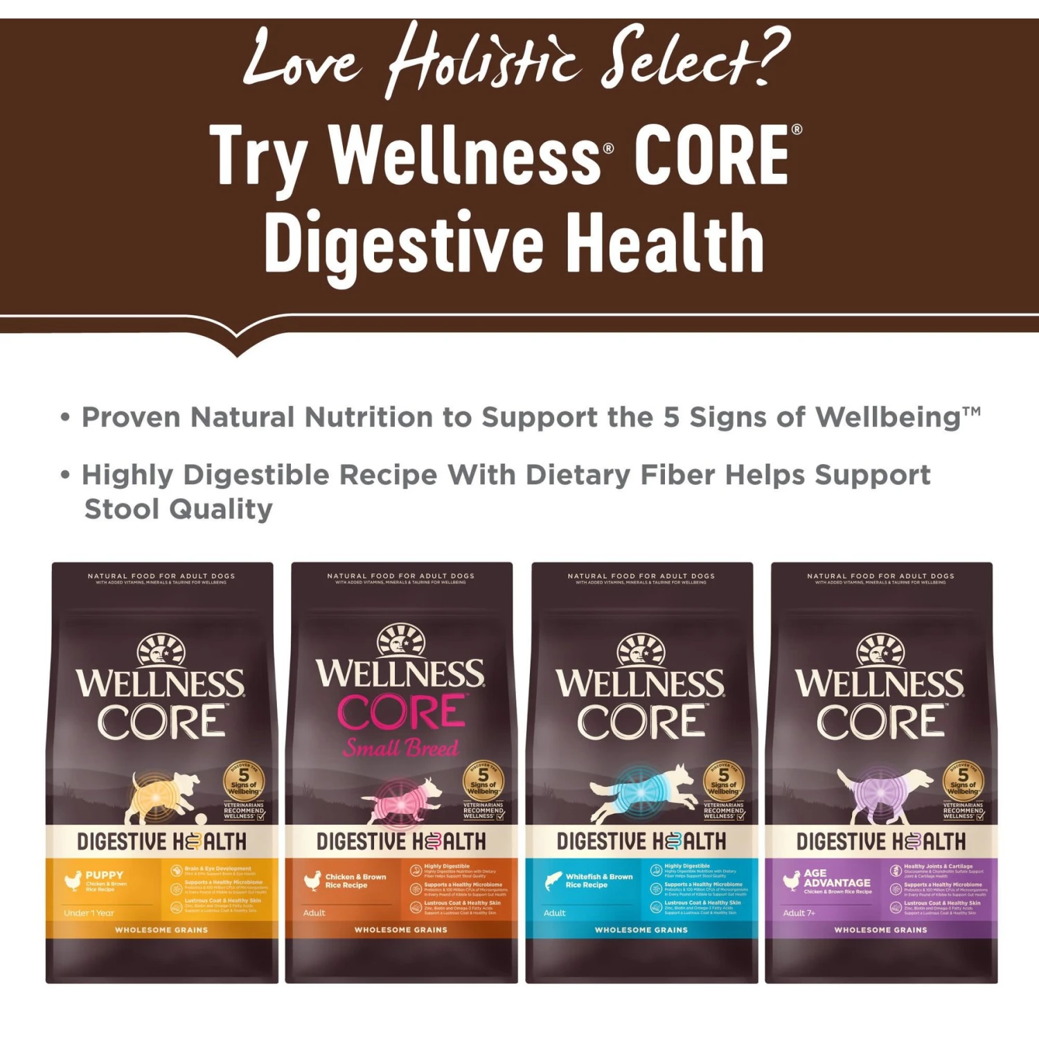 Holistic Select Adult Health Lamb Meal Recipe Dry Dog Food 9 Holistic Select Adult Health Lamb Meal Recipe Dry Dog Food - Image 7
