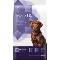 Holistic Select Adult Health Chicken Meal & Brown Rice Recipe Dry Dog Food