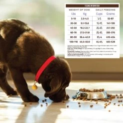 Holistic Select Adult Health Chicken Meal & Brown Rice Recipe Dry Dog Food -Blue Buffalo || ROYAL CANIN || Wellness Sales 47645 PT5. AC SS1800 V1660574121