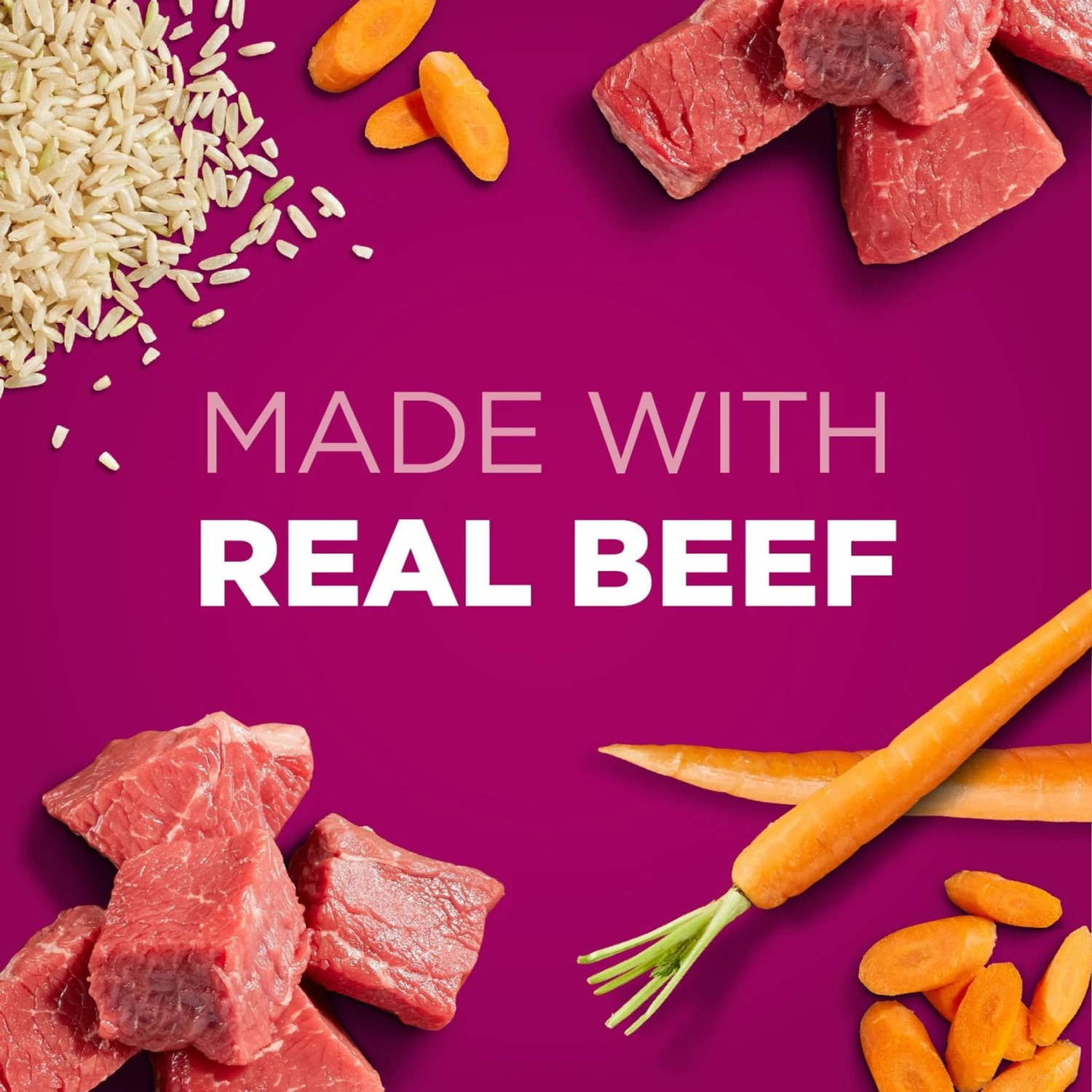 Iams ProActive Health Classic Ground With Beef & Whole Grain Rice Adult Wet Dog Food 6 Iams ProActive Health Classic Ground With Beef & Whole Grain Rice Adult Wet Dog Food - Image 4